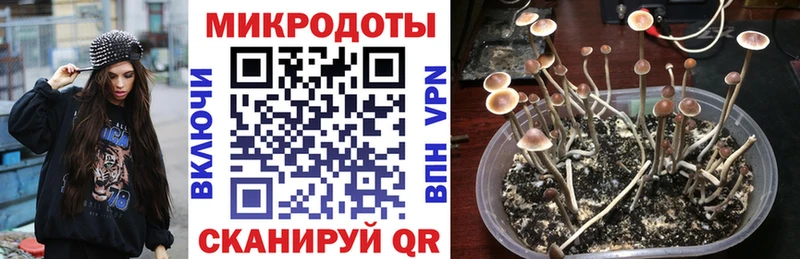 цены   Нягань  Галлюциногенные грибы мицелий 